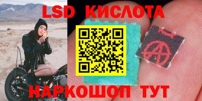 прущие крисы Майкоп