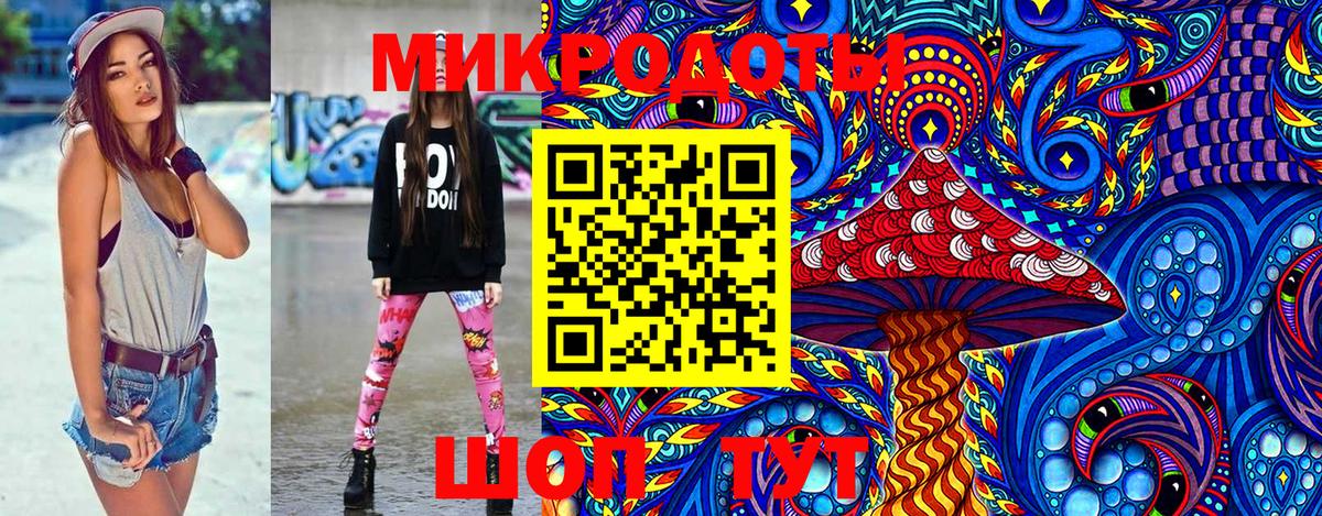 Псилоцибиновые грибы Cubensis  Вход с VPN  Ачхой-Мартан  Псилоцибиновые грибы Psilocybine cubensis 