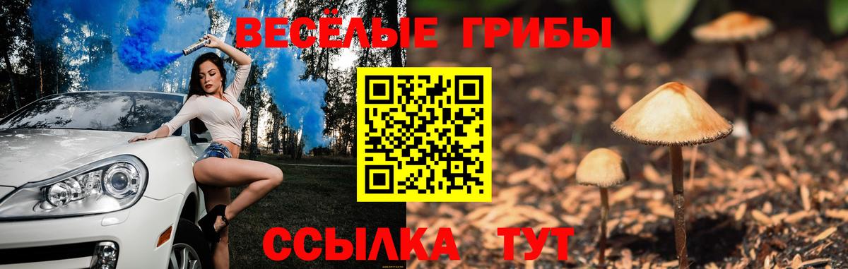 Псилоцибиновые грибы мухоморы Ачхой-Мартан